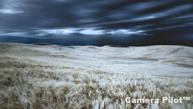 Automating your Post-Processing Workflow Free Download
