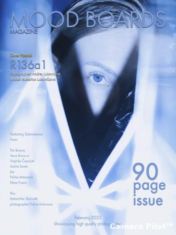 Mood Boards Magazine February 2023 Pdf Free Download