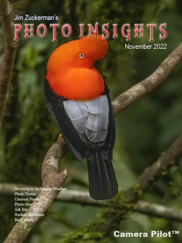 Photo Insights November 2022 Pdf Free Download