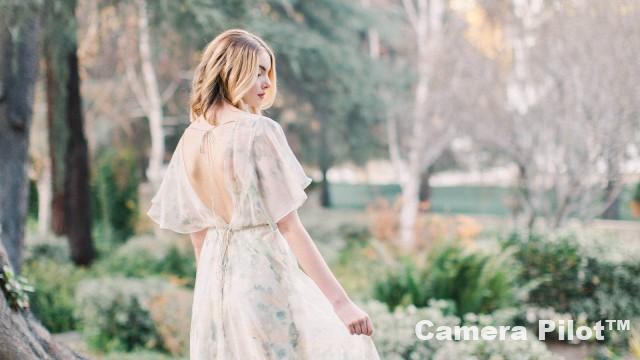 Capture and Create Artistic Wedding Portraits Free Download