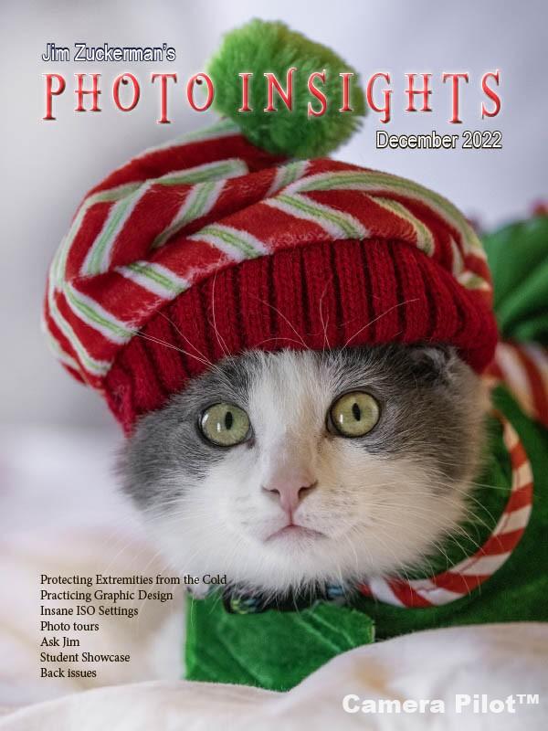 Photo Insights December 2022 Pdf Free Download