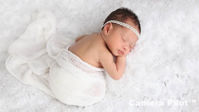 Pregnancy and Newborn Photography Free Download