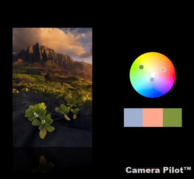 Ted Gore - Color Theory for Landscape Photography Free Download